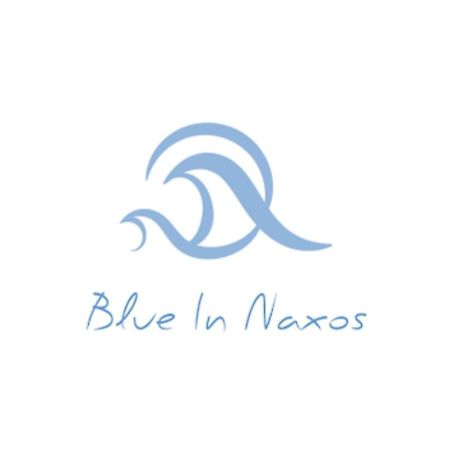 Hôtel Blue In Naxos à Naxos City Extérieur photo